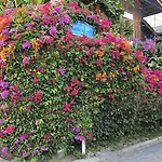Siriwan Hostel
