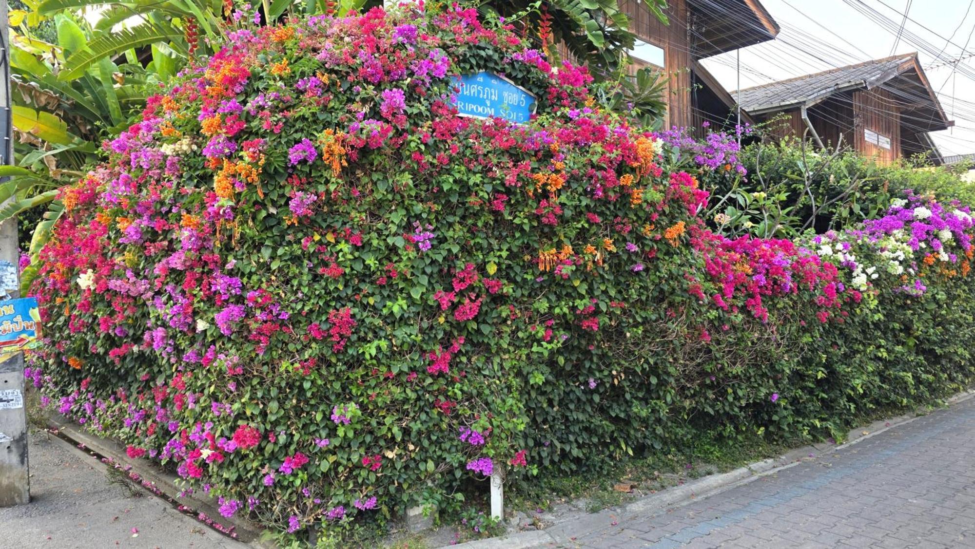 Siriwan Hostel