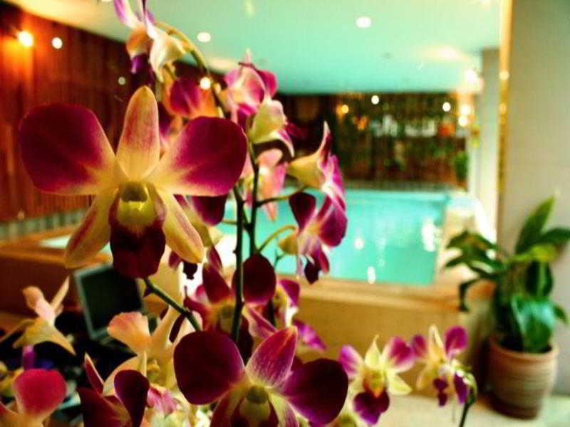 Thaphae Garden 2*