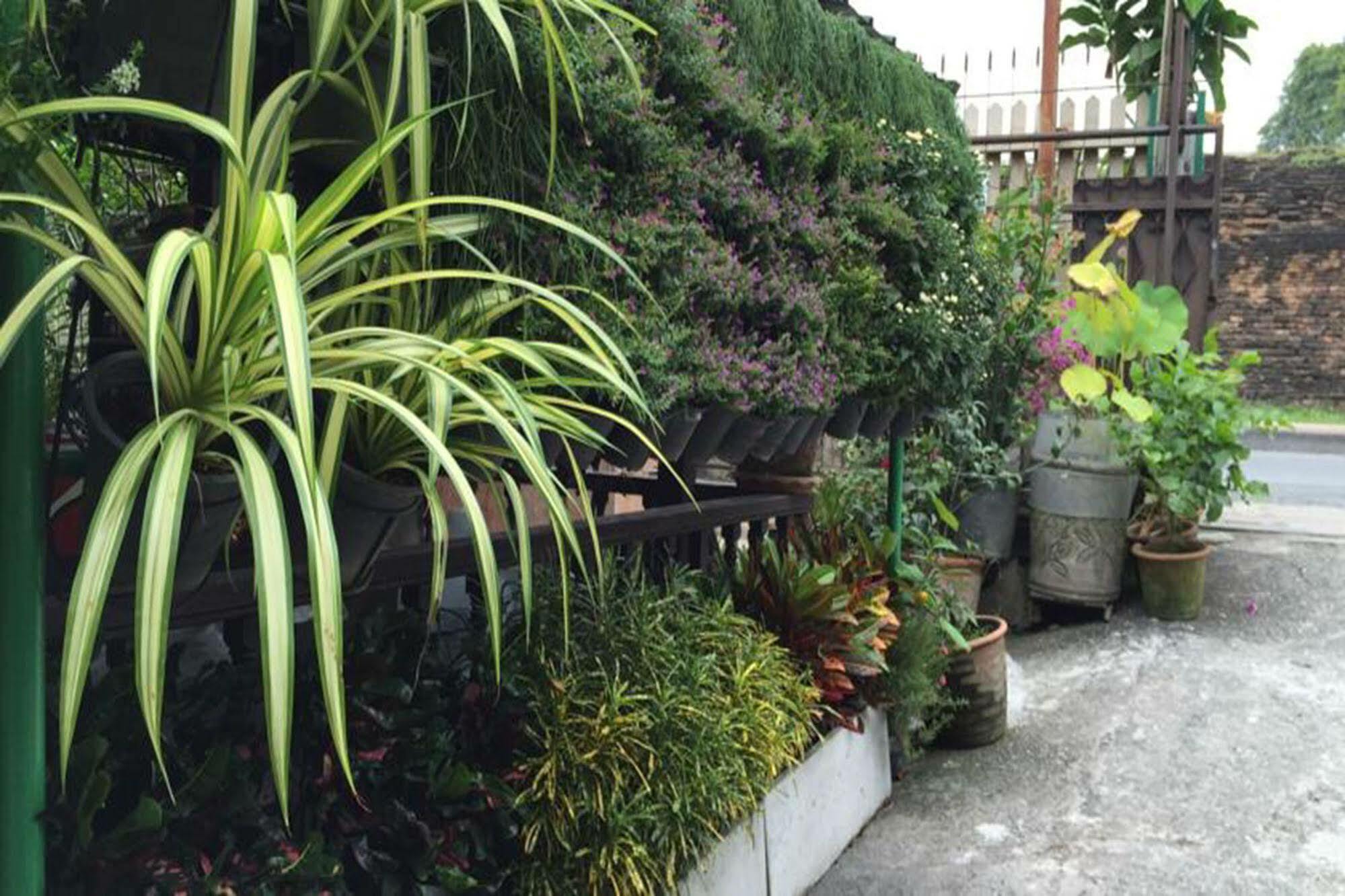 Bed & Breakfast Siriwan