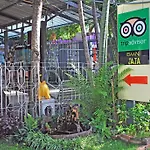 Baan Jaja