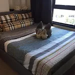 Hight Rise Lux Condo 1Bed Roof Top Pool
