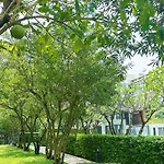 Room For Rent In The City