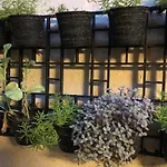 The Tana House