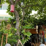 Bb House Budget & Boutique