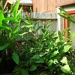 Chiang Maan Residence