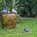 Baan Orapin