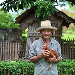 Hang Tueng Farm Stay Chiang Mai แฮงตึง ฟาร์มสเตย์ เชียงใหม่