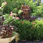 Banjai Garden Guesthouse