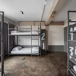 Thunder Bird Hostel