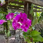 Chiang Mai Las Orquideas Resort