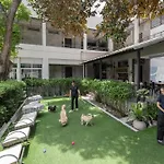 Ketawa Pet Friendly Hotel