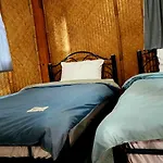 Cozy Nest Cnx