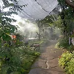Tasana Garden Saraphi ทาซาน่าการ์เด้น สาขาสารภี