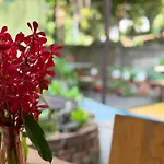 Retro At Phra Sing Guest House