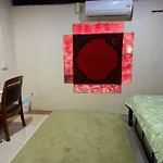 Cozy Nest Cnx