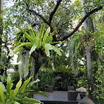 Sareeviengping Hotel Chiangmai