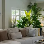 Aphrodite Pool Villa Old City 7 Bed Rooms