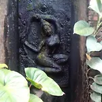 Baan Pim