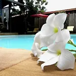 Joy\'S House