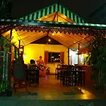 The Green Oasis