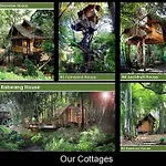 Rabeang Pasak Tree House Resort