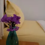 Paiyannoi Guesthome