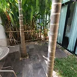 Mango T. Villa Chiangmai Resort
