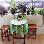 Dd Smile House, Nong Hoi
