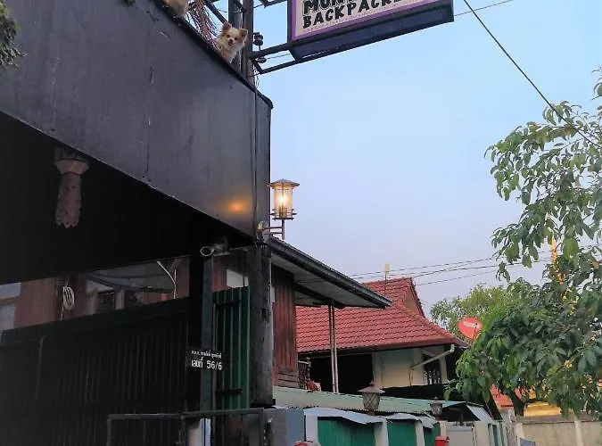 Purple Monkey Backpackers Chiang Mai