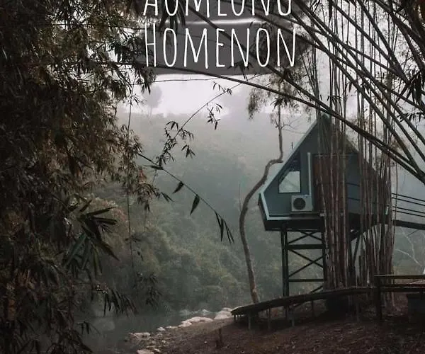 Aomlonghomenon