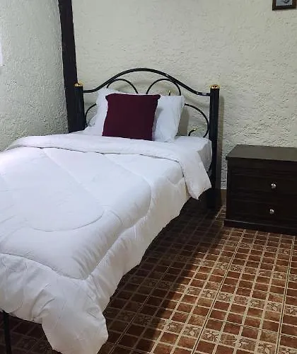 Cozy Nest Cnx