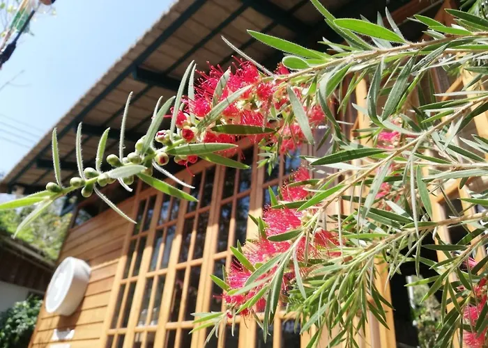 Paiyannoi Guesthome
