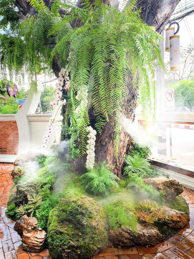 Hotel Big Tree Old Town Chiang Mai