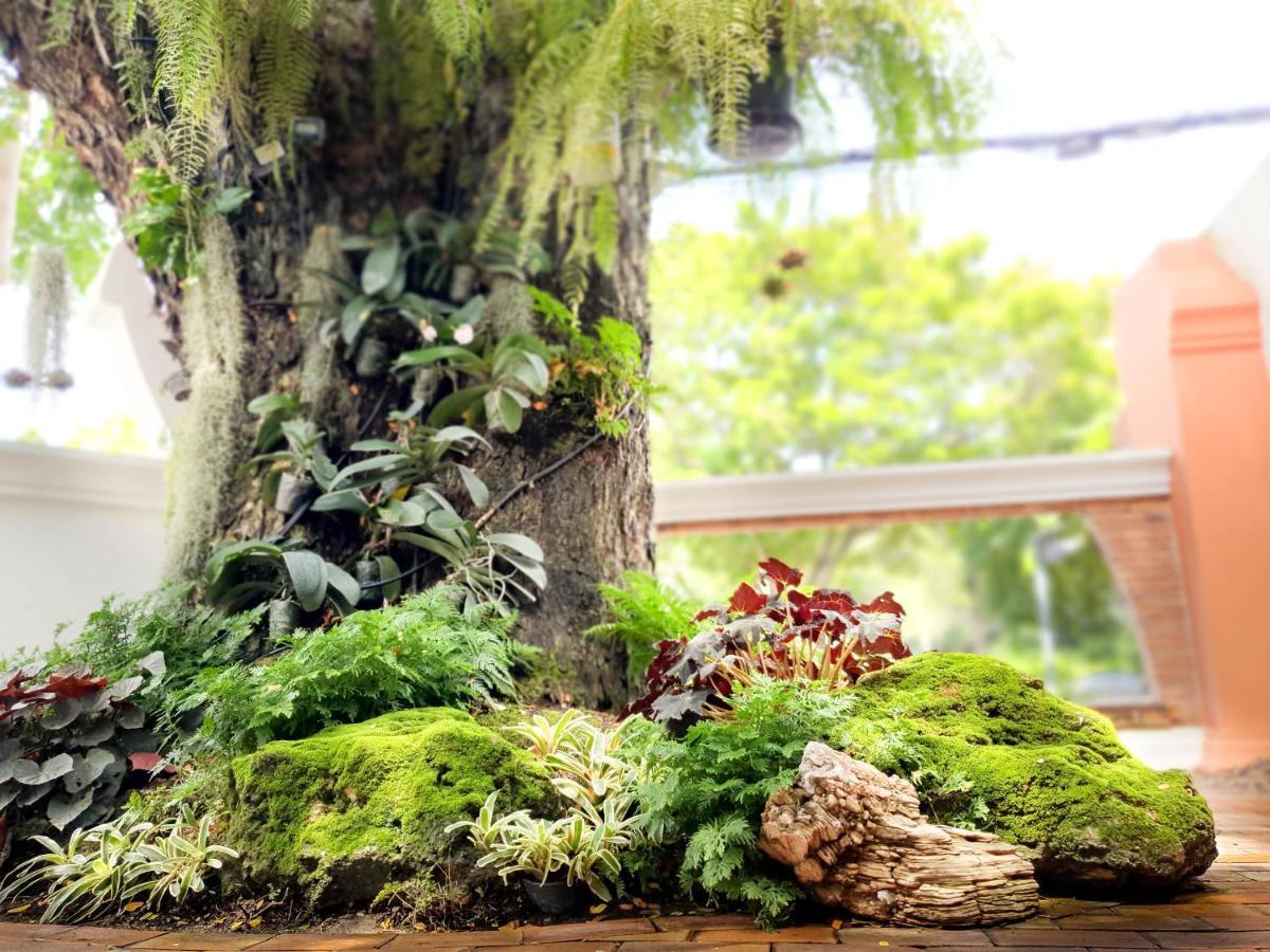 Big Tree Old Town Hotel 3*