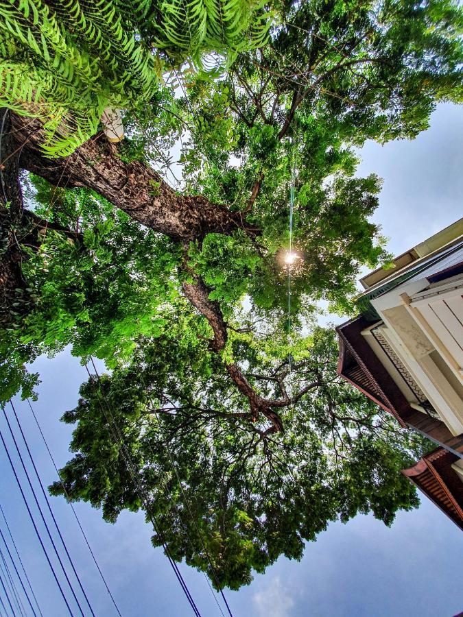 Big Tree Old Town Hotel Chiang Mai