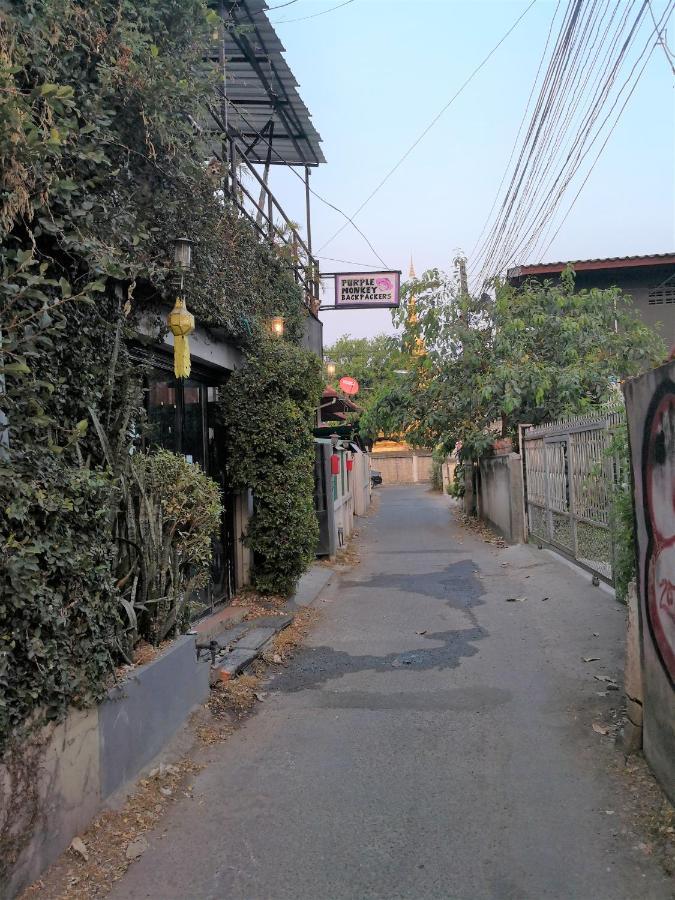 Purple Monkey Backpackers Hostel