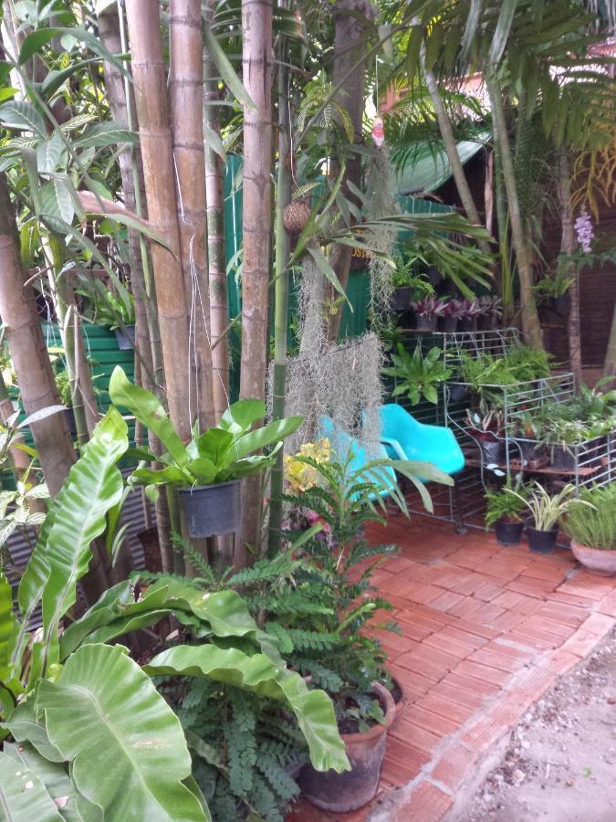 Chom Chan & Hostel Chiang Mai