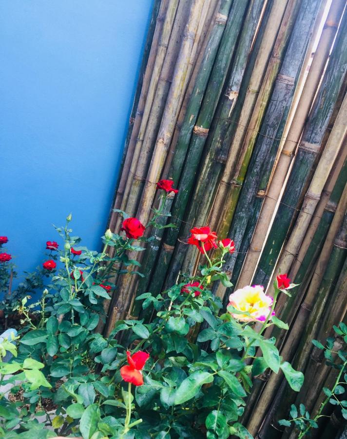 Hotel De Rose