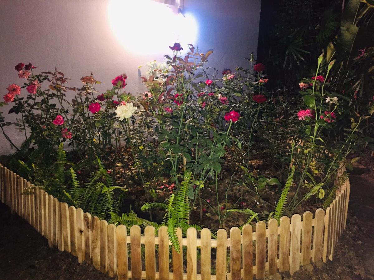 De Rose 3*