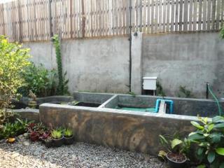 Qi 68 2*