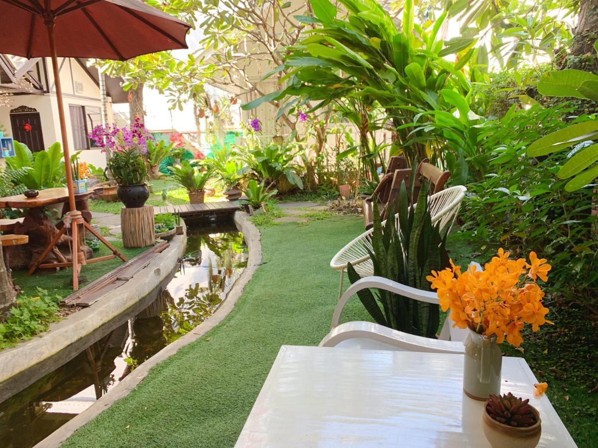 Dream Garden Night Bazaar Chiangmai Homestay