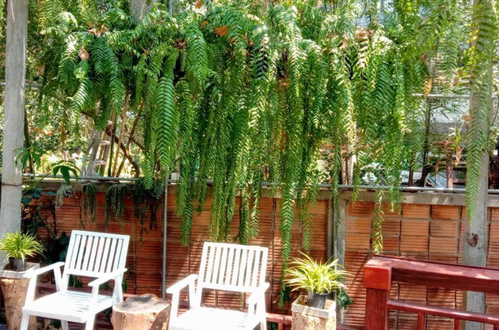 Maleehome * Chiang Mai