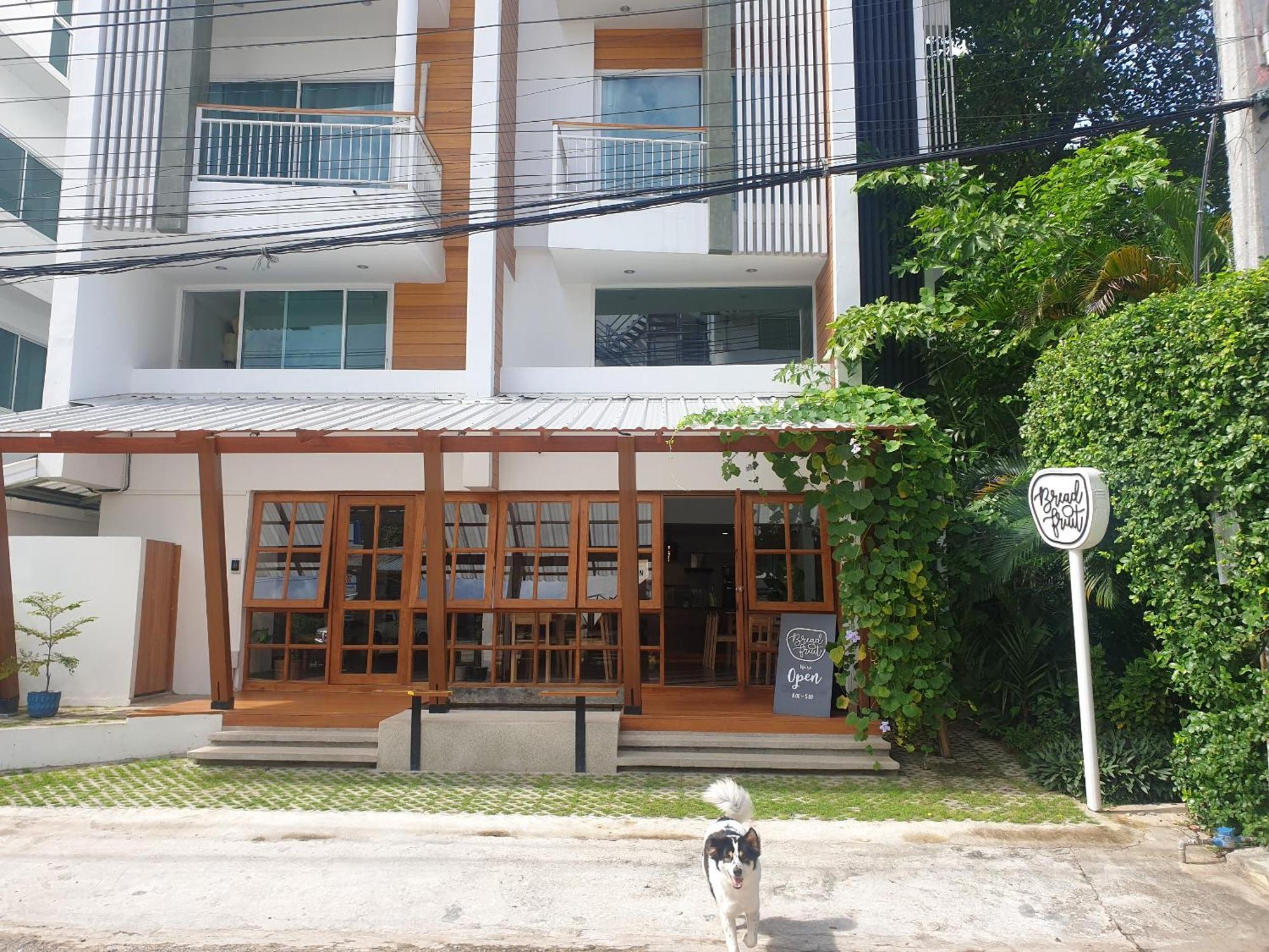 Breadfruit Hostel Chiang Mai