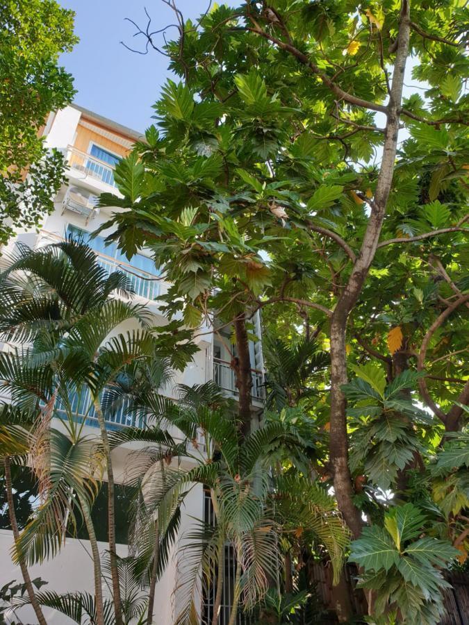 Breadfruit Hostel Chiang Mai