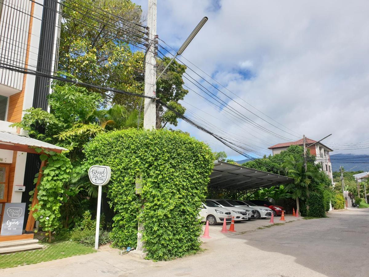 Hostel Breadfruit Chiang Mai