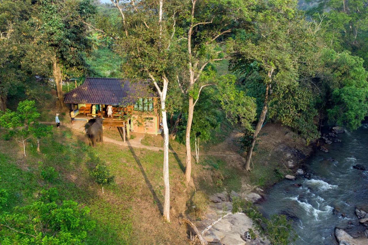 Elephant Friends Hotel