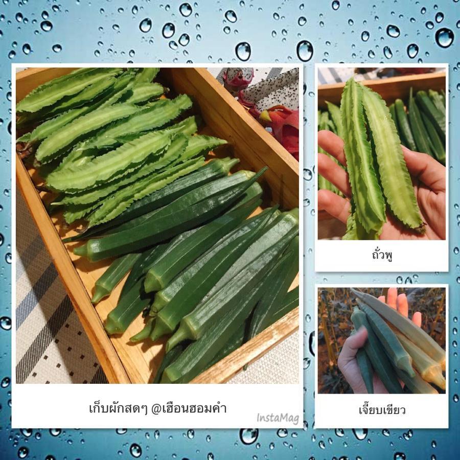 เฮือนฮอมคำโฮมสเตย์ Homestay *