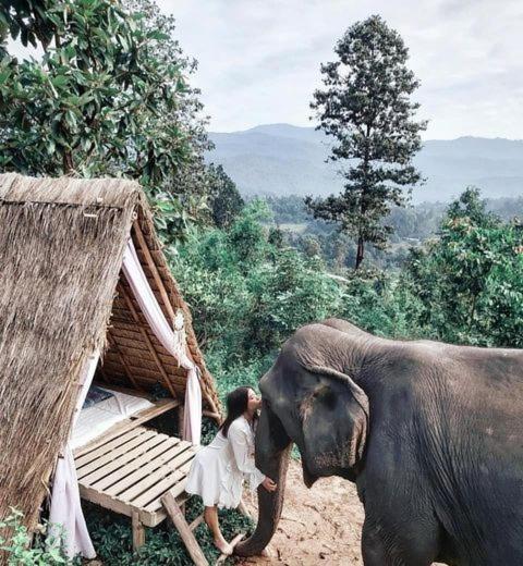 The Chai Lai Orchid Resort Chiang Mai