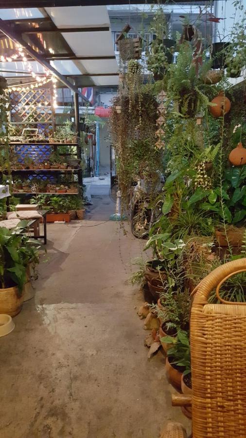 Lantern House (adults Only) Hostel Chiang Mai